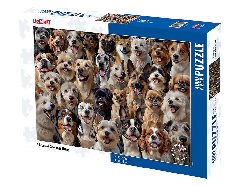 A Group of Cute Dogs Sitting